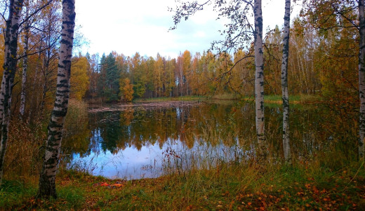 1106868 (a): :2048x1183
